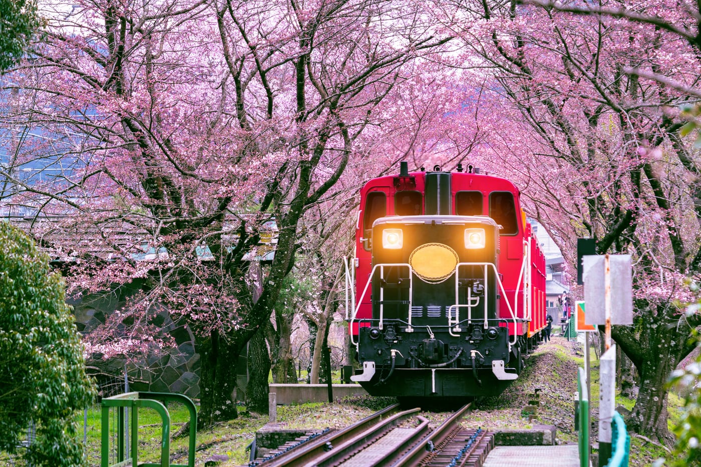 L.G.E Travel - 全球之星 - Group Tour - 8D6N Let's Go Japan Sakura